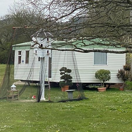 סומרטון The Nest - Family Friendly Caravan Nr Glastonbury & Street מראה חיצוני תמונה