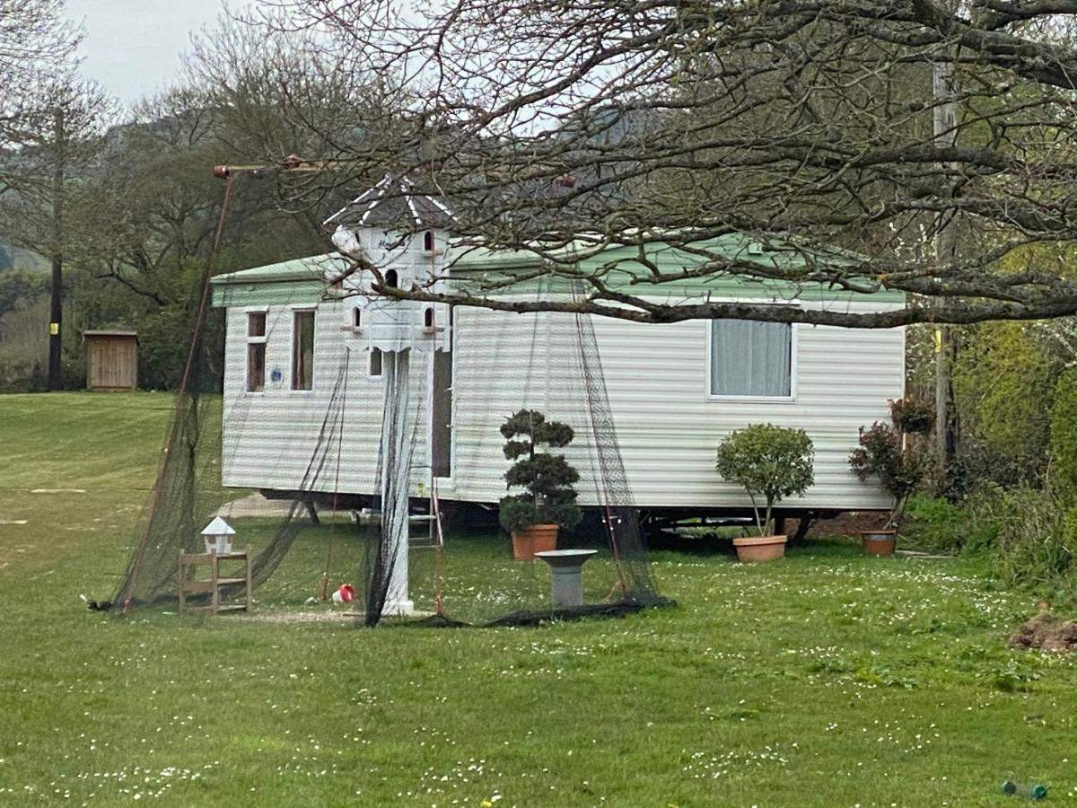 סומרטון The Nest - Family Friendly Caravan Nr Glastonbury & Street מראה חיצוני תמונה
